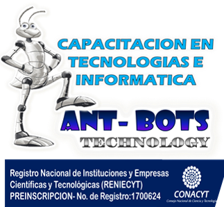 <span style="font-style: italic;"> Robotica e informatica</span>